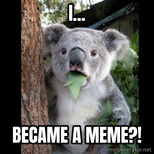 Koala can't believe it meme: I... / Became a meme?!
