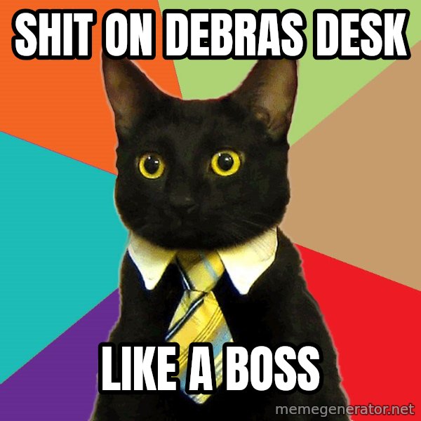 Business Cat meme: SHIT ON DEBRAS DESK / LIKE A BOSS
