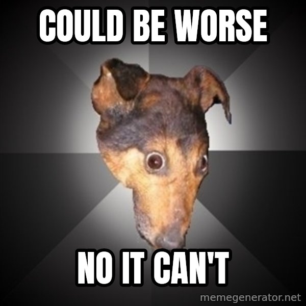 Depression Dog meme: Could be worse / no it can't