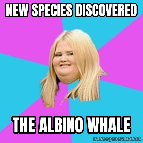 Fat Girl meme: New species discovered / The Albino Whale