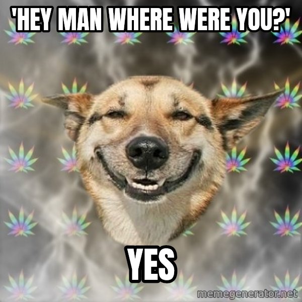 Stoner Dog meme: 'Hey man where were you?' / Yes