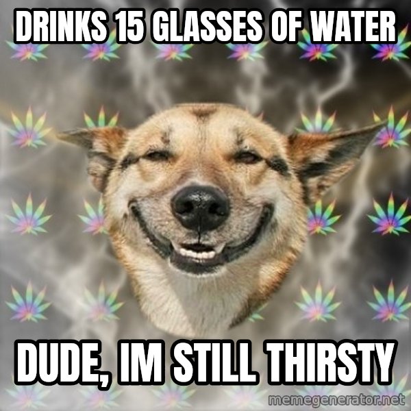 Stoner Dog meme: drinks 15 glasses of water / dude, im still thirsty