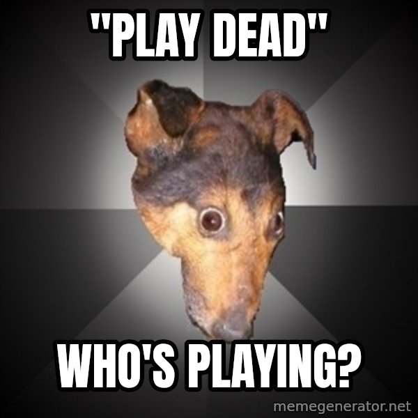 Depression Dog meme: "Play dead" / Who's playing?