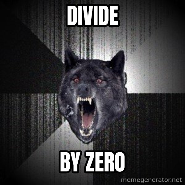 Insanity Wolf meme: divide / by zero