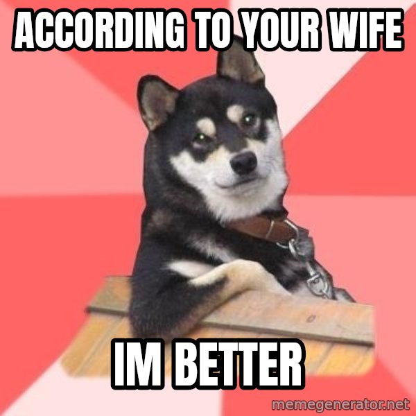 Cool Dog meme: according to your wife / im better