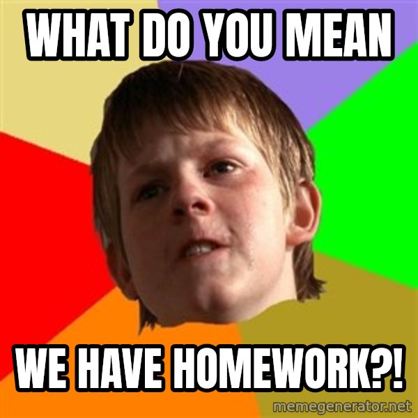 Angry School Boy meme: What do you mean / We have homework?!