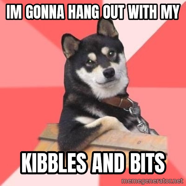 Cool Dog meme: im gonna hang out with my / kibbles and bits