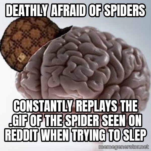 Scumbag Brain meme: Deathly afraid of spiders / constantly replays the .GIF of the Spider seen on reddit when trying to slep