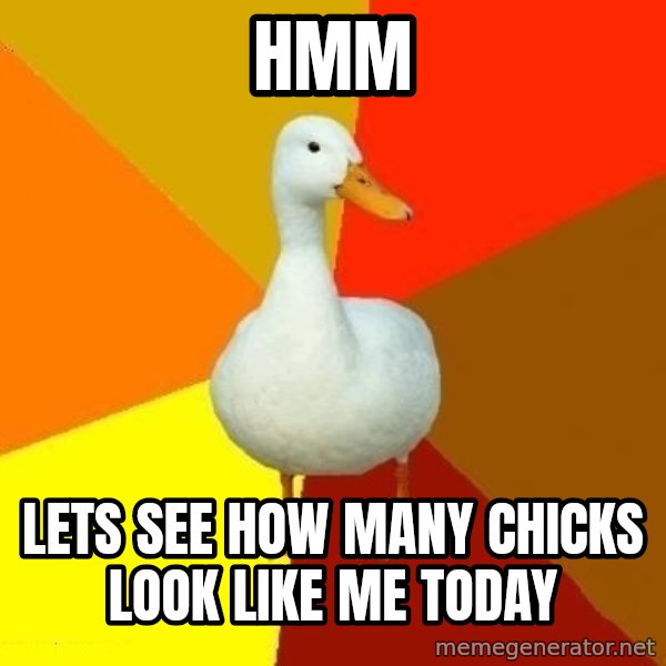 Technologically Impaired Duck meme: Hmm / lets see how many chicks look like me today