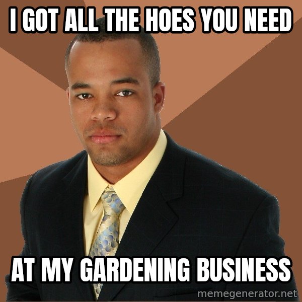 Successful Black Man meme: i got all the hoes you need / at my gardening business
