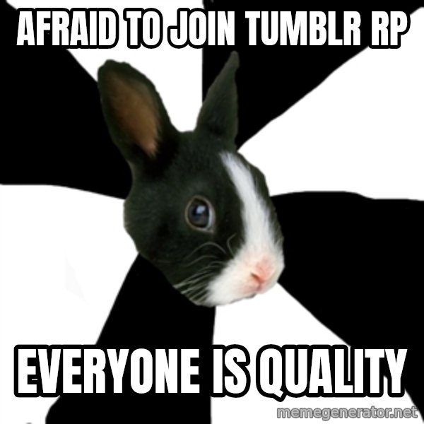 Roleplaying Rabbit meme: afraid to join tumblr rp / everyone is quality