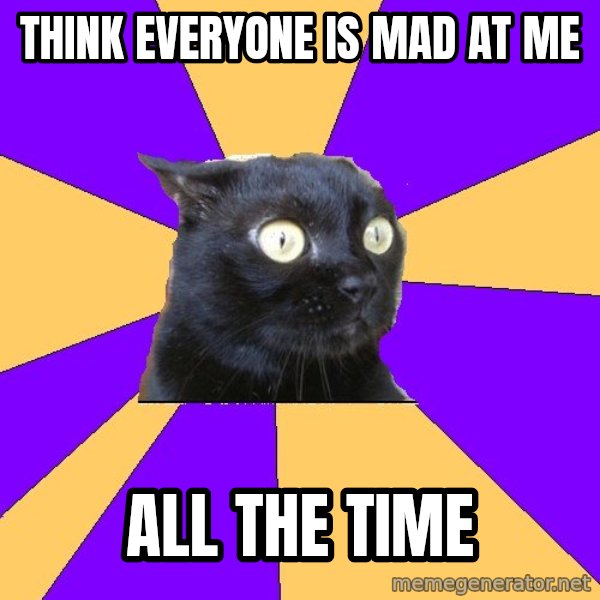 Anxiety Cat meme: think everyone is mad at me / all the time