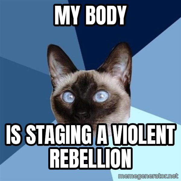 Chronic Illness Cat meme: my body / is staging a violent rebellion
