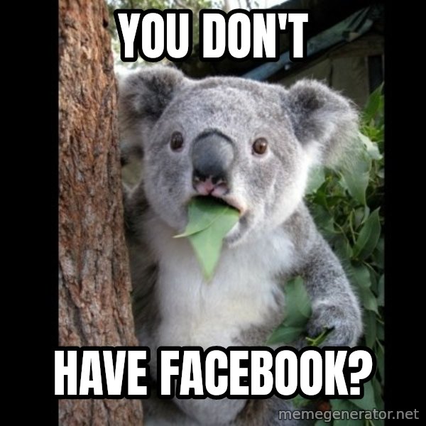 Koala can't believe it meme: you don't / have facebook?
