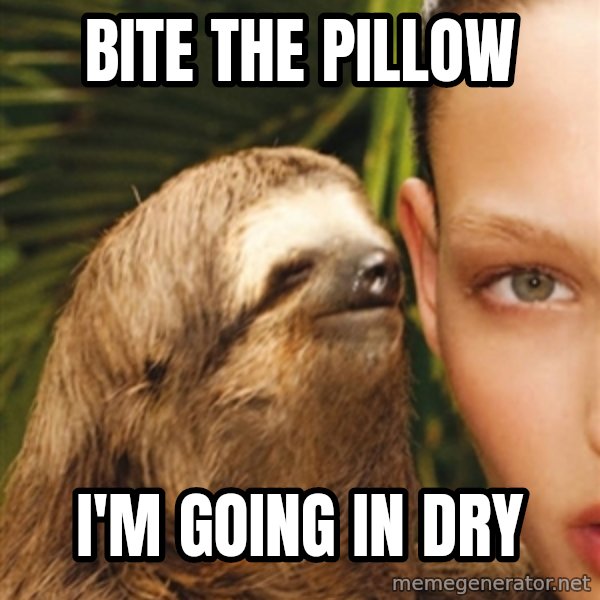 The Rape Sloth meme: bite the pillow / i'm going in dry