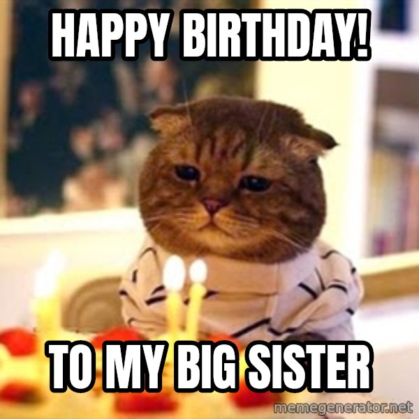 Birthday Cat meme: Happy Birthday! / To my big sister