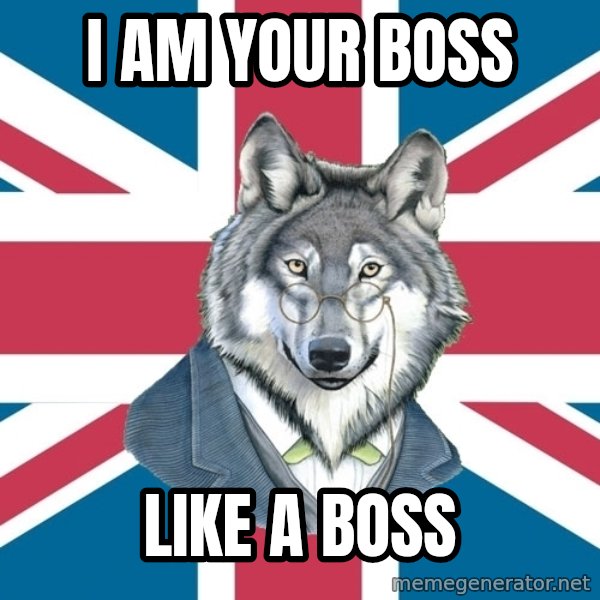 Sir Courage Wolf Esquire meme: I am your boss / like a boss