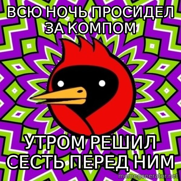 Omsk Crow meme: всю ночь просидел за компом / утром решил сесть перед ним