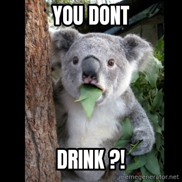Koala can't believe it meme: you dont / drink ?!