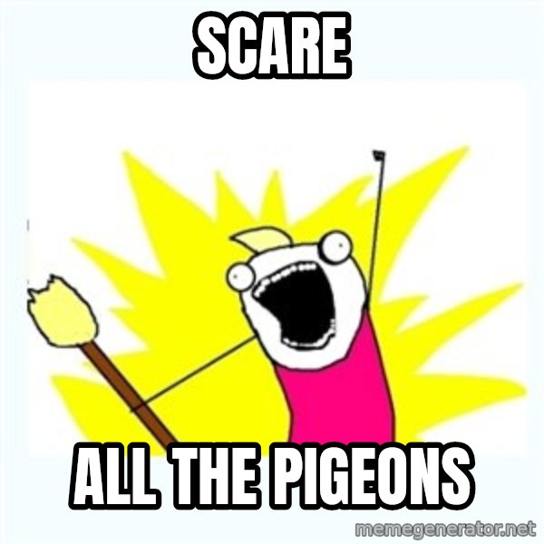 All the things meme: scare / all the pigeons