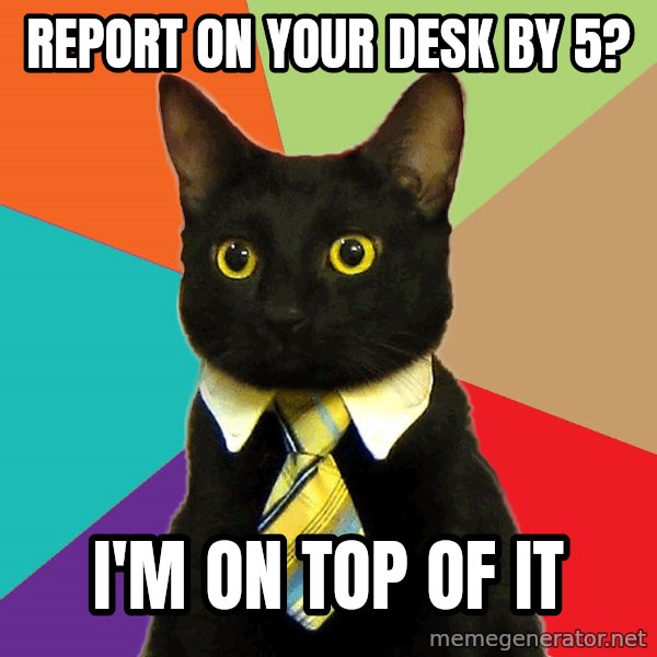 Business Cat meme: report on your desk by 5? / I'm on top of it