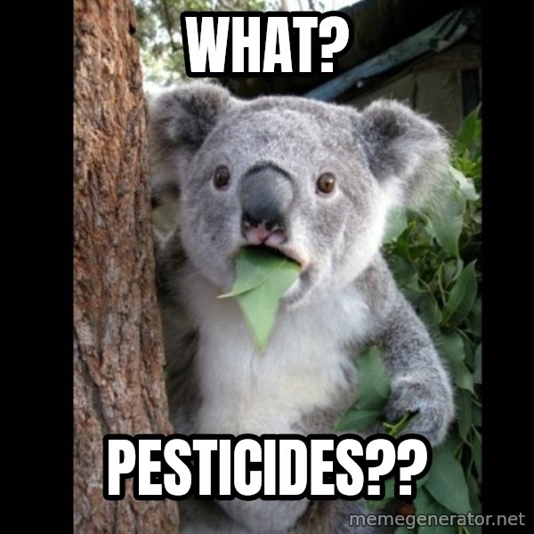 Koala can't believe it meme: What? / Pesticides??