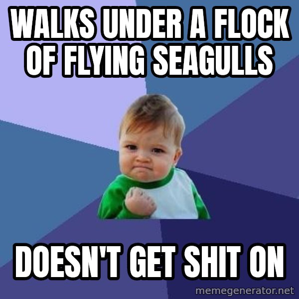 Success Kid meme: Walks under a flock of flying seagulls / doesn't get shit on