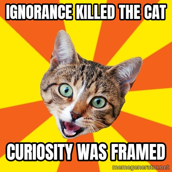 Bad Advice Cat meme: Ignorance killed the cat / Curiosity was framed