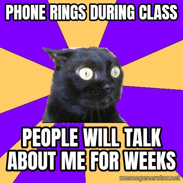 Anxiety Cat meme: Phone rings during class / People will talk about me for weeks