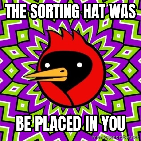 Omsk Crow meme: The Sorting Hat was / be placed in YOU