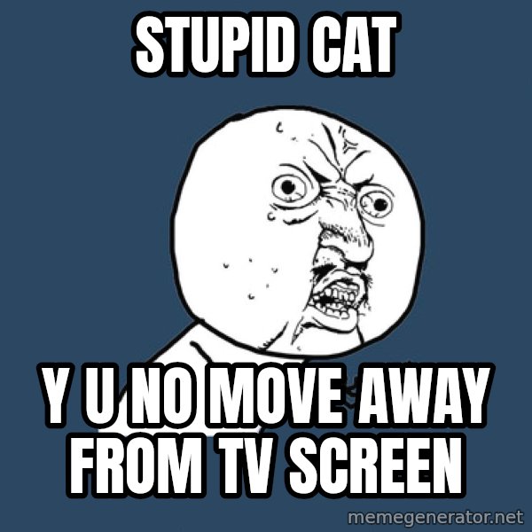 Y U No meme: stupid cat / y u no move away from tv screen