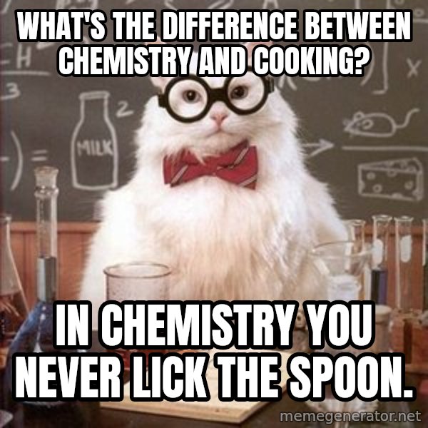 Chemistry Cat meme: what's the difference between chemistry and cooking? / In chemistry you never lick the spoon.