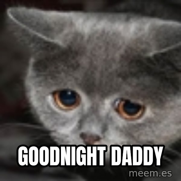 sad cat meme: Goodnight daddy