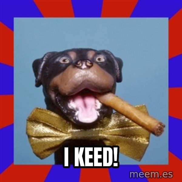 Triumph the Insult Comic Dog meme: I KEED!