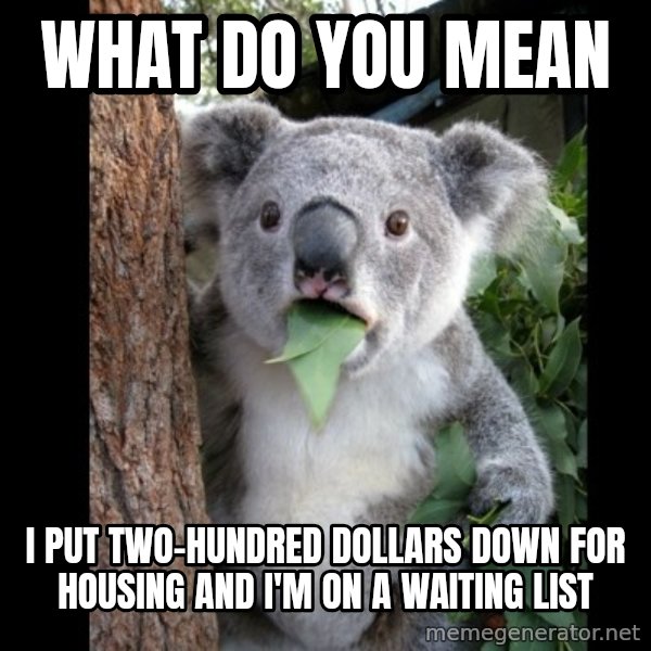 Koala can't believe it meme: What do you meAN / i put two-hundred dollars down for housing and i'm on a waiting list