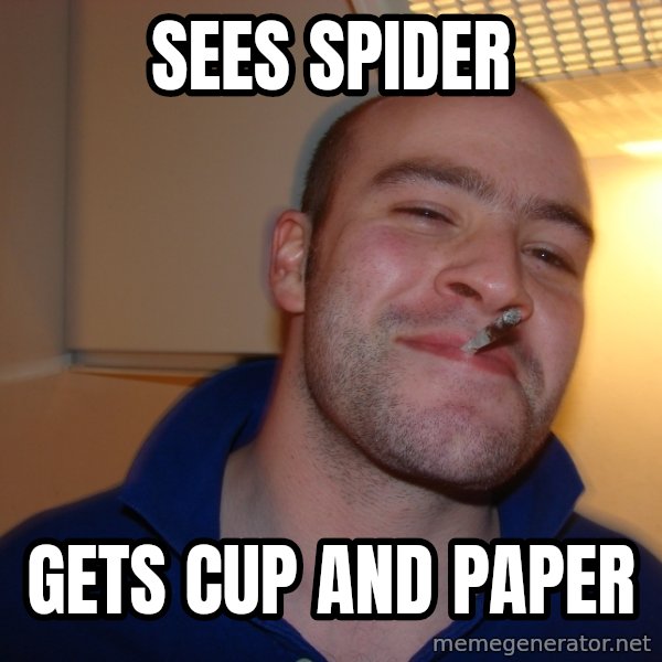 Good Guy Greg meme: sees spider / gets cup and paper