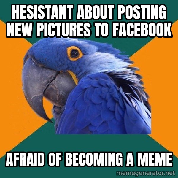 Paranoid Parrot meme: HESISTANT ABOUT POSTING NEW PICTURES TO FACEBOOK / AFRAID OF BECOMING A MEME