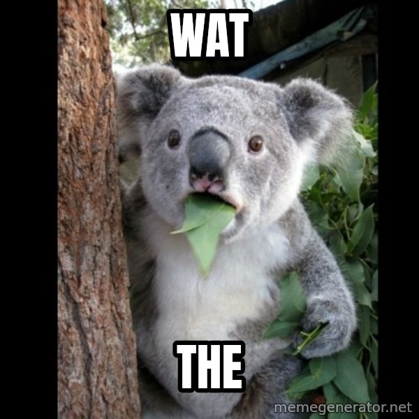 Koala can't believe it meme: Wat / The