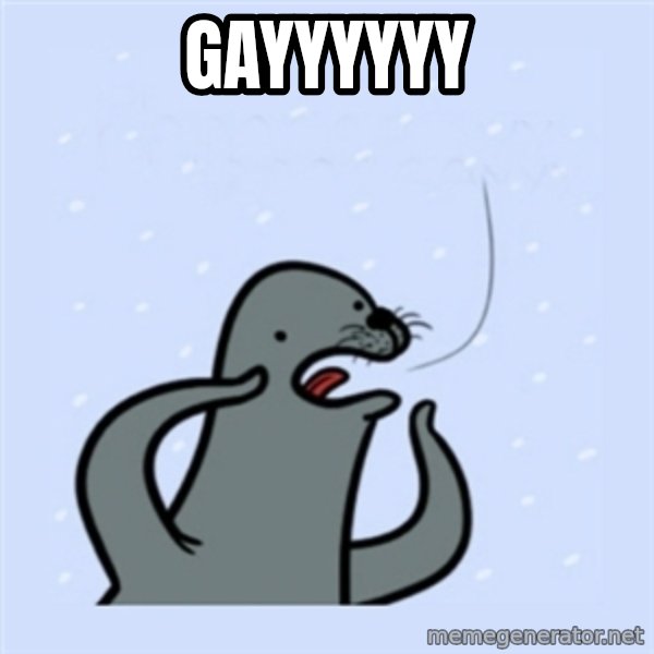 gay seal meme: Gayyyyyy