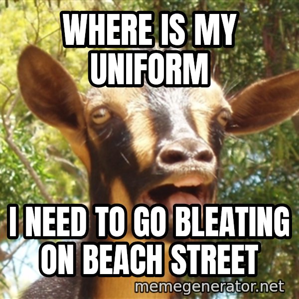Illogical Goat meme: where is my uniform / i need to go bleating on beach street