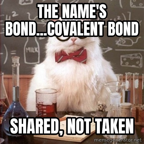Science Cat meme: The Name's Bond...Covalent Bond / Shared, Not Taken