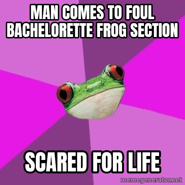 Foul Bachelorette Frog meme: Man comes to foul bachelorette frog section / scared for life