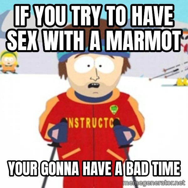 Bad time ski instructor 1 meme: If you try to have sex with a marmot / Your gonna have a bad time