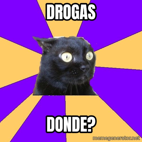 Anxiety Cat meme: DROGAS / DONDE?