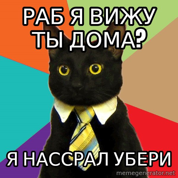 Business Cat meme: РАБ Я ВИЖУ ТЫ ДОМА? / я НАССРАЛ УБЕРИ