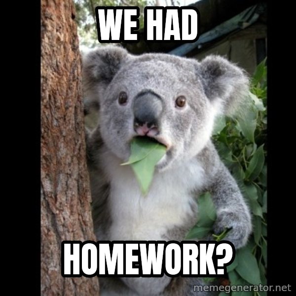 Koala can't believe it meme: we had / homework?