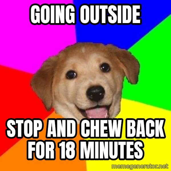 Advice Dog meme: going outside / stop and chew back for 18 minutes
