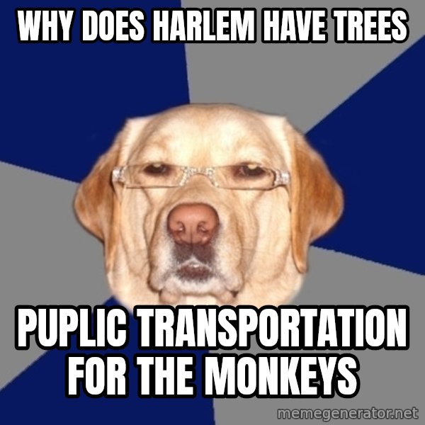 Racist Dawg meme: why does harlem have trees / puplic transportation for the monkeys