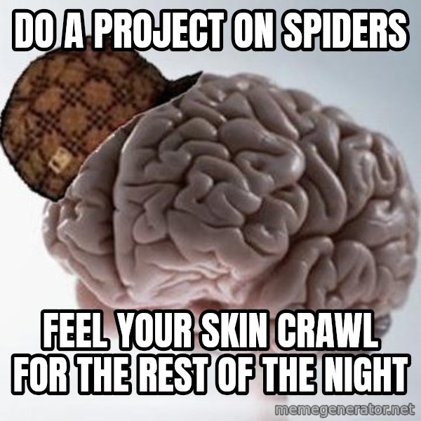 Scumbag Brain meme: do a project on spiders / feel your skin crawl for the rest of the night