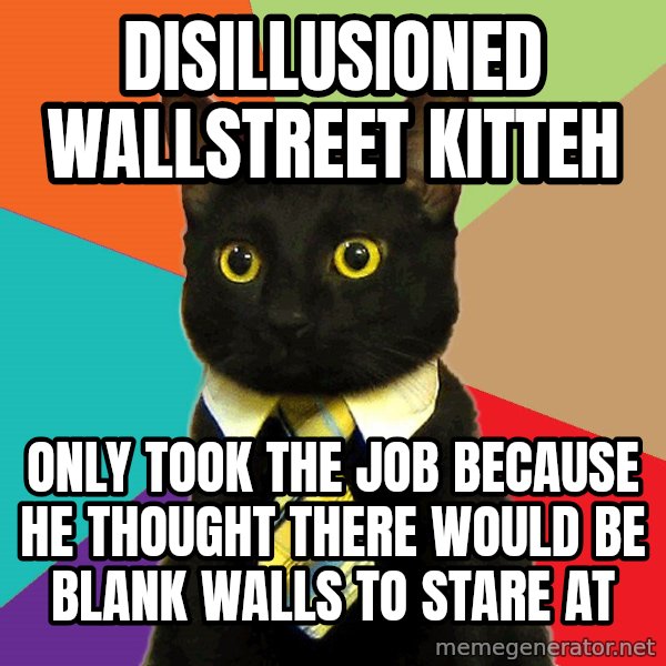 Business Cat meme: disillusioned wallstreet kitteh / only took the job because he thought there would be blank walls to stare at